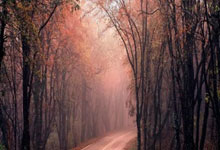 羽毛球决赛选手实力飙升：技压群雄轻松夺冠