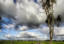 曼城逆转拜仁慕尼黑，晋级淘汰赛