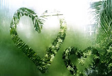 波黑球员获奥斯卡提名，成为焦点人物